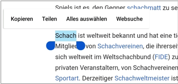 Ein Bild, das Text enthält.Automatisch generierte Beschreibung